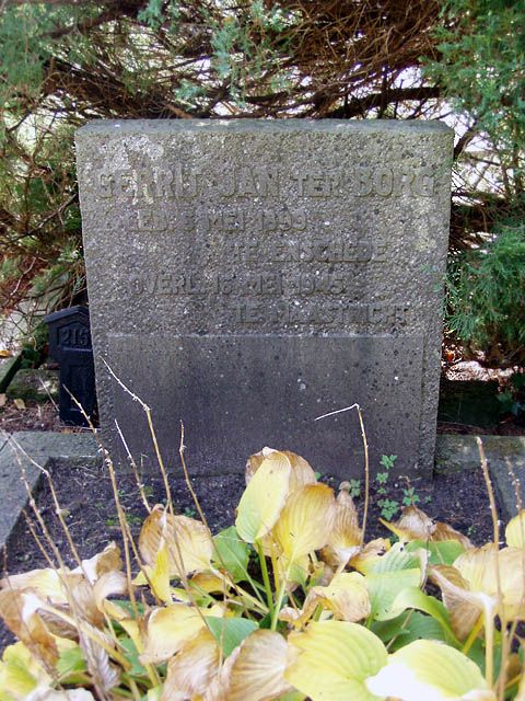 Borg G.J. ter.2004.jpg