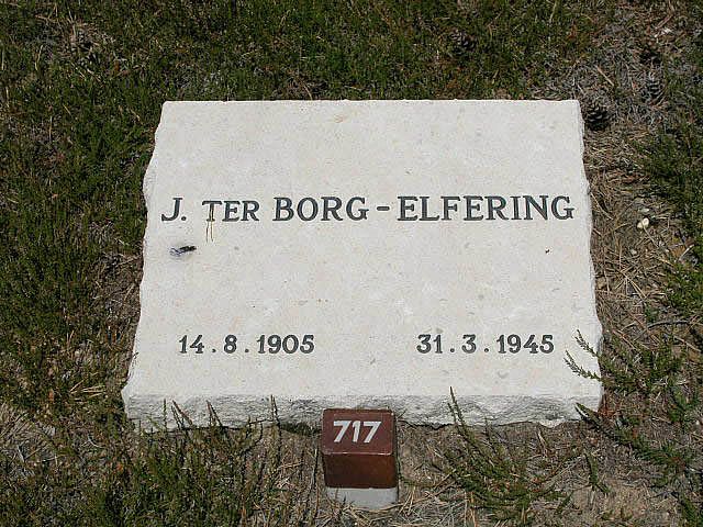 J.ter Borg - Elfering.jpg