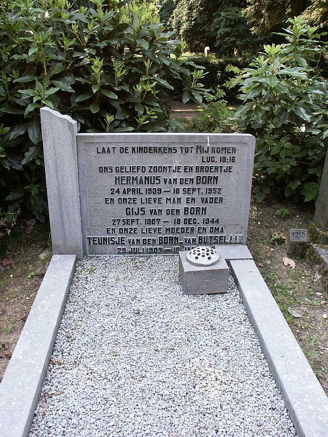 Van den Born.jpg