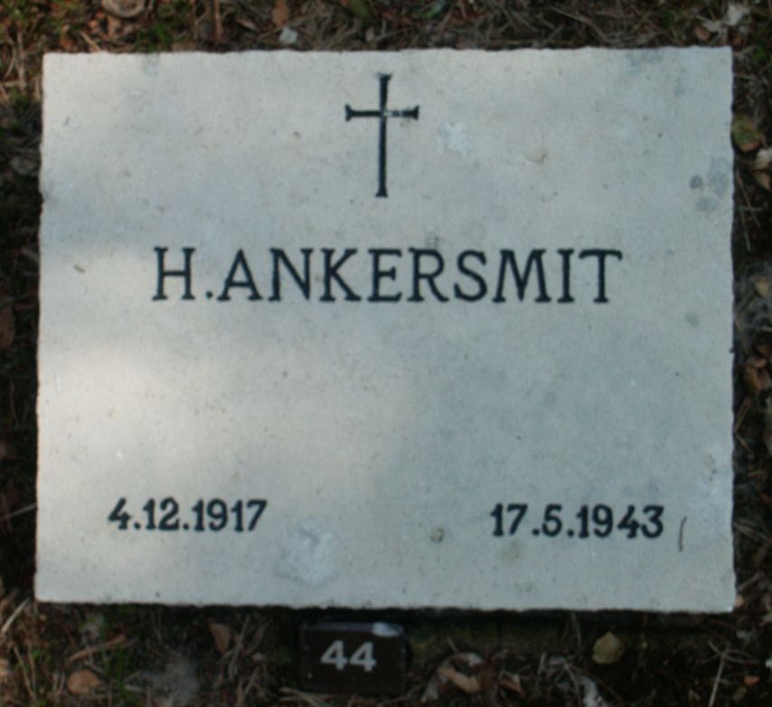 ankersmit.h.jpg