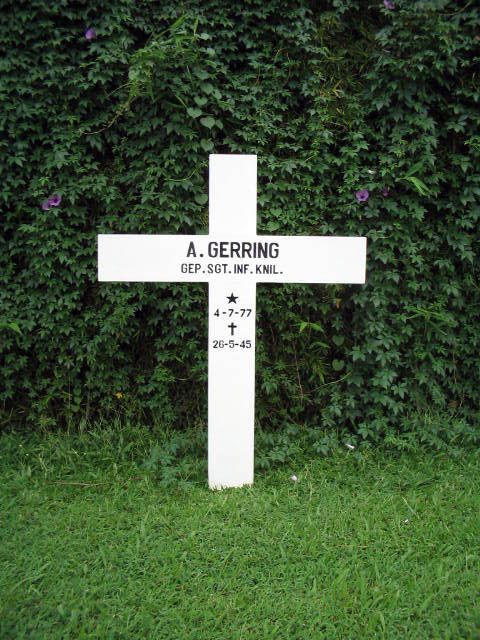 gerring.a.2005.jpg