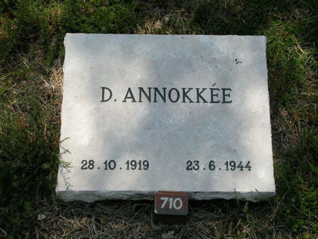 D.Annokkee.jpg