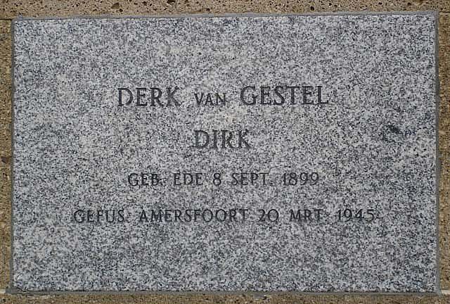 D.van Gestel 2008.jpg