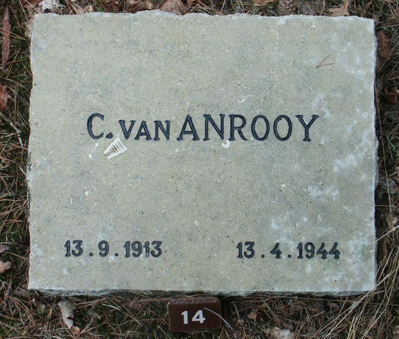 anrooy.van.c.jpg
