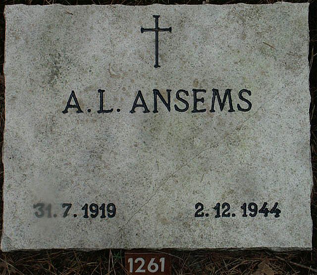 Ansems.A.L.2005.jpg