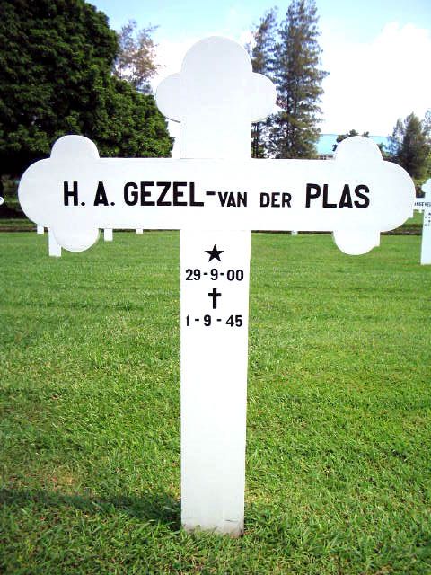 gezel v der plas h.a.2004.jpg