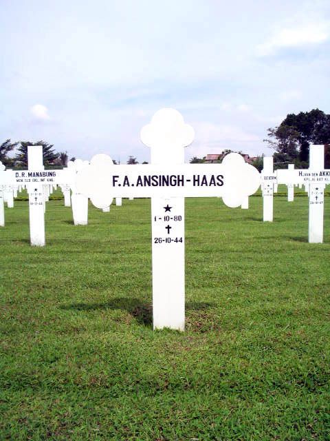 ansingh.haas.f.a.2005.jpg