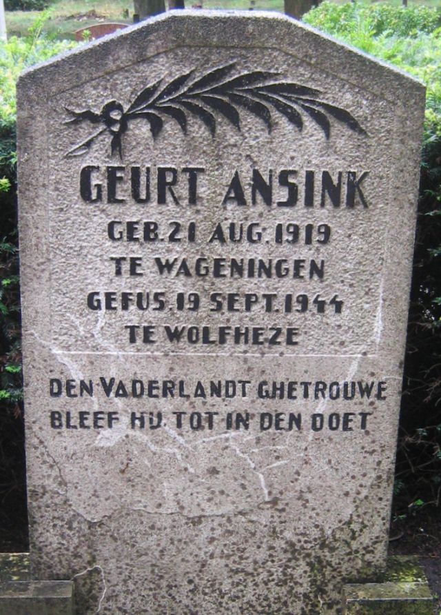 ansink.g.2008.jpg