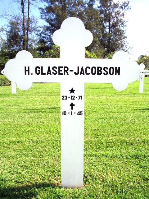 glaser.jacobson.h.2004.jpg