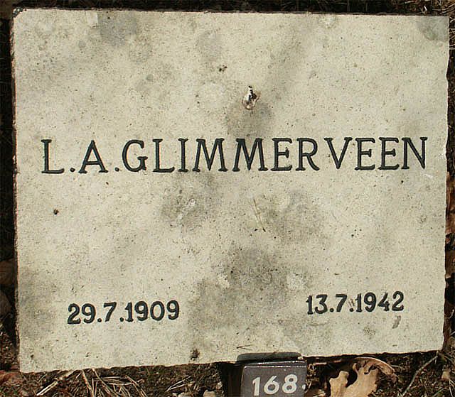 glimmerveen.l.a.2006.jpg