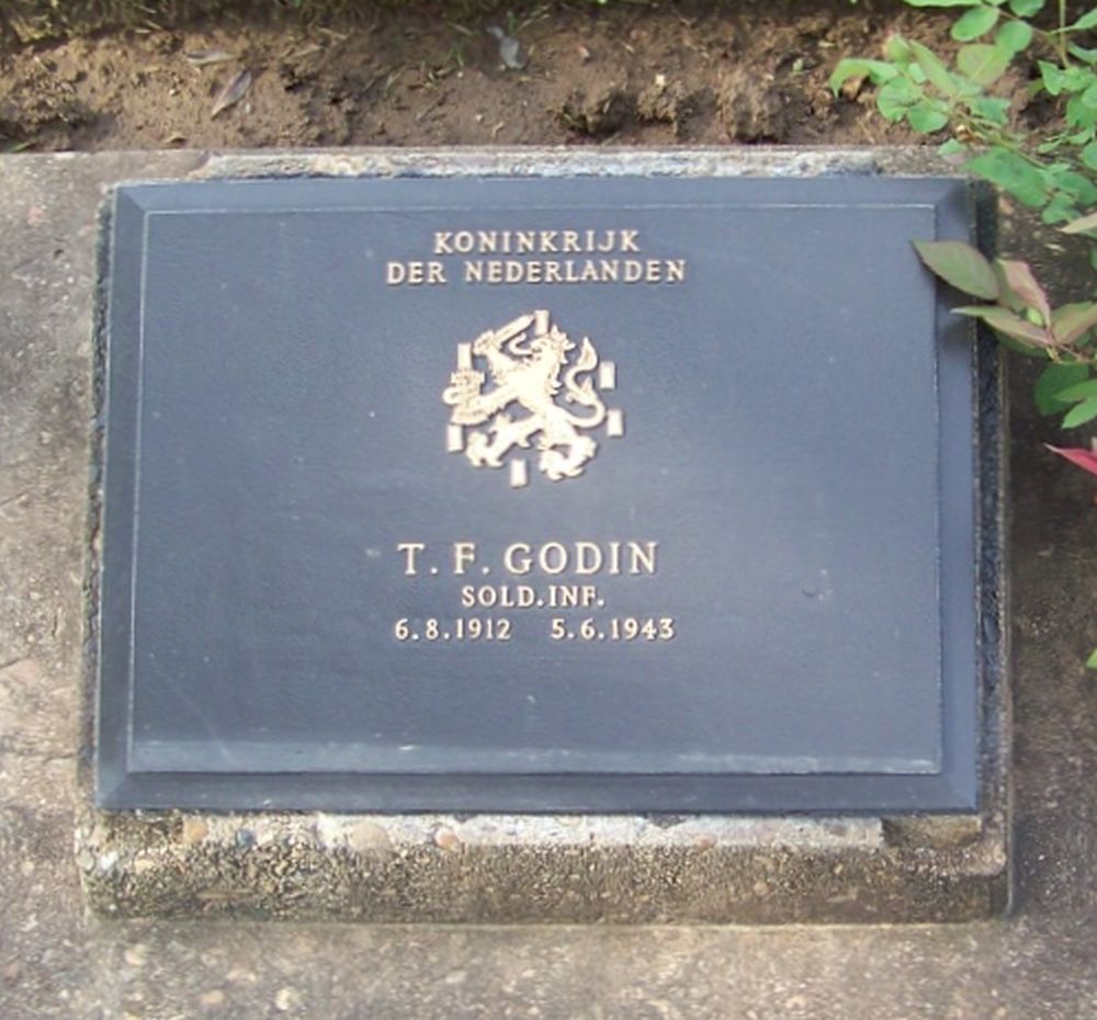 Godin .T F.jpg