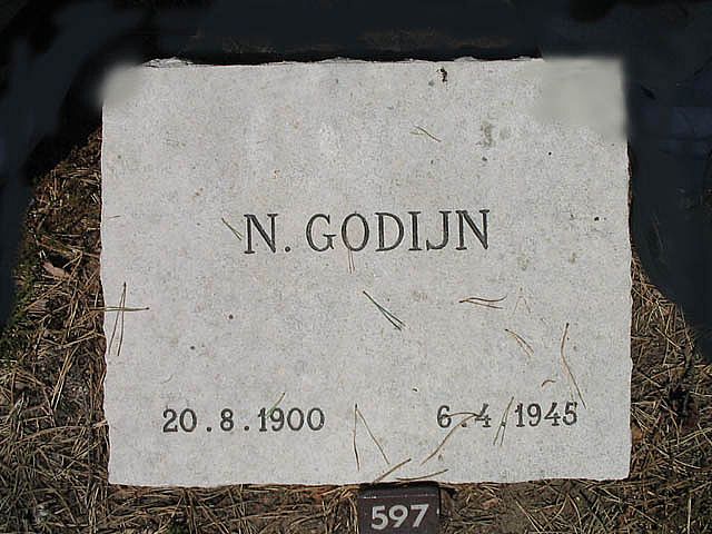 N.Godijn.jpg