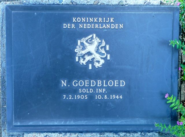 Goedbloed.N.2008.jpg
