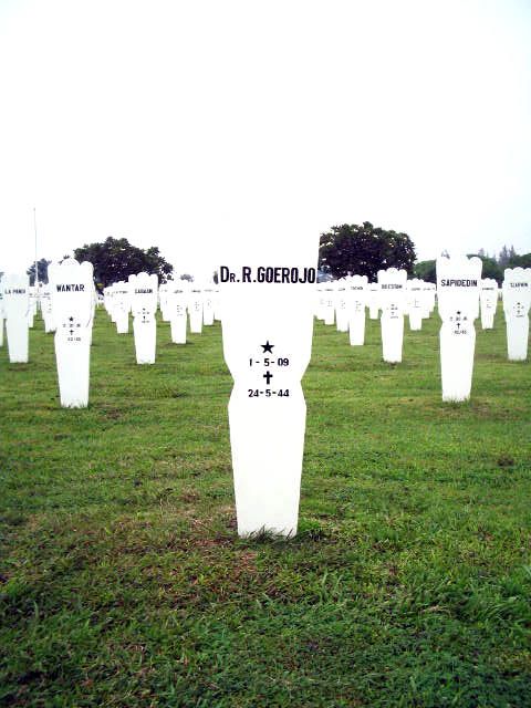 goerojo.r.2005.jpg