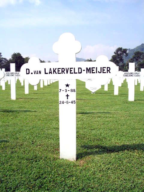 lakerveld.van.meijer.d.2005.jpg