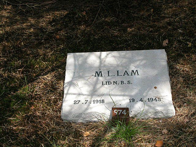 M.L.Lam.jpg