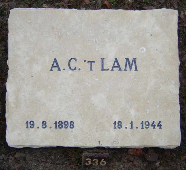 lam.a.c.t.2008.jpg