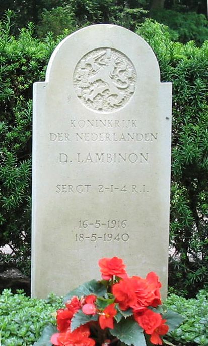 D.Lambinon.jpg