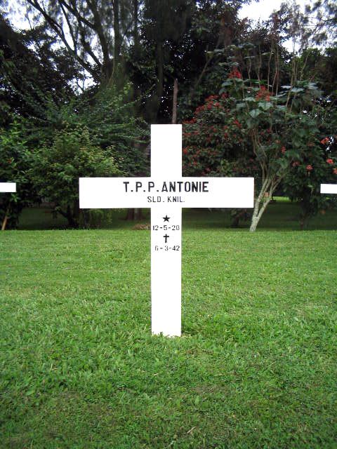 antonie.t.p.p.2005.jpg