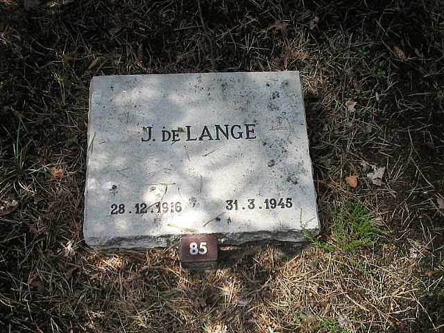 088073.JPG