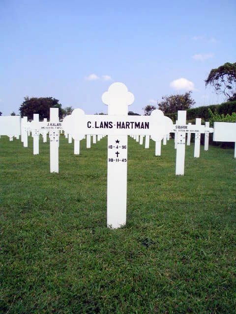 lans.hartman.c.2005.jpg