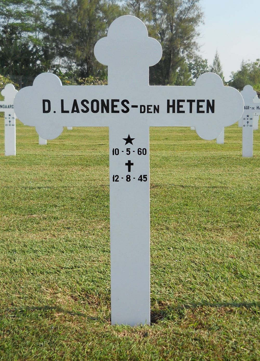 lasones.jpg