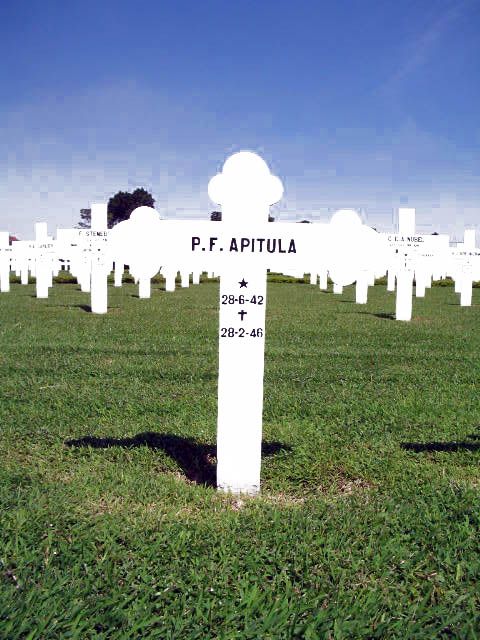 apitula.p.f.2005(8).jpg