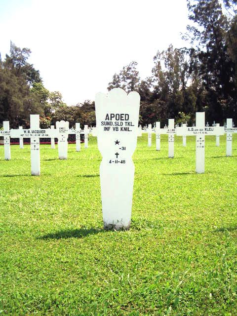 apoed.2005.jpg