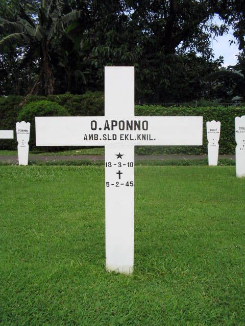 aponno.o.2005.jpg
