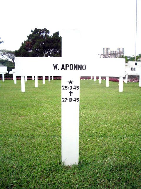 aponno.w.2005.jpg