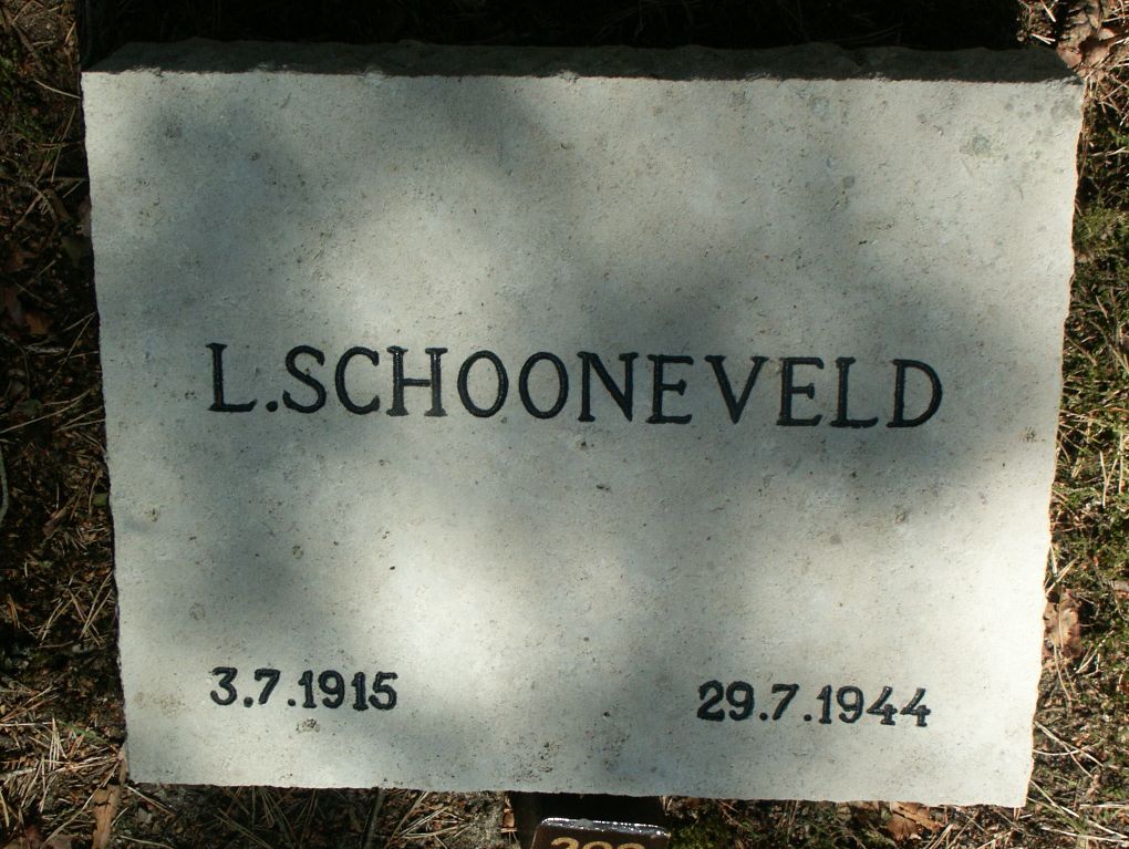 schooneveld.l.jpg