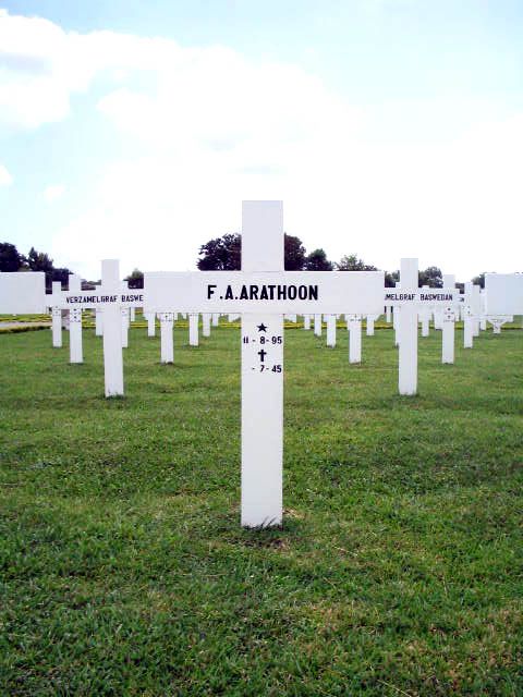 arathoon.f.a.2005.jpg
