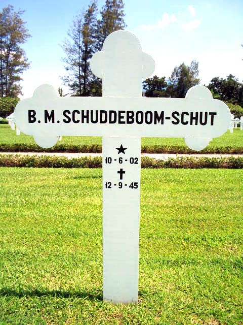 schuddeboom schut b.m.2004.jpg