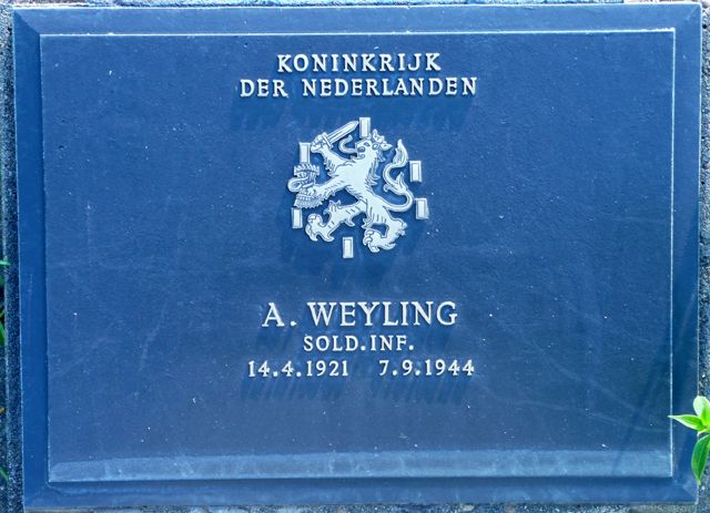 Weyling.A.2008.jpg