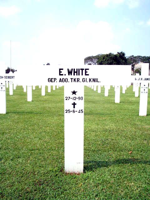 white.e.2005.jpg