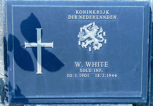 White.W.2008.jpg