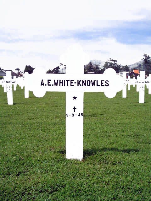white.knowles.a.e.2005.jpg