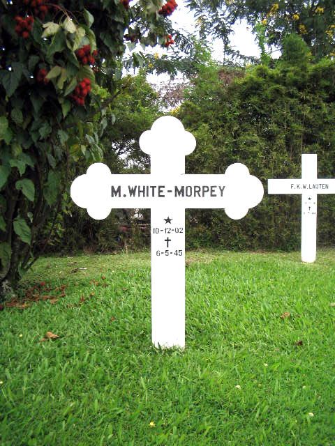 white.morpey.m.2005.jpg