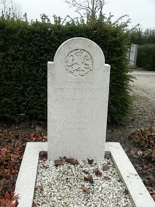 Van der Wiel.jpg