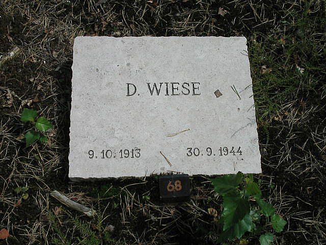 D.Wiese.jpg