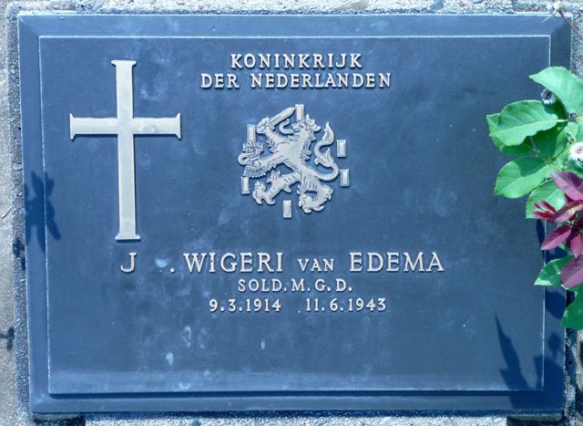 Wigeri van Edema.J.R.2008.jpg