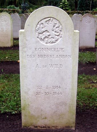 Wild de A.jpg