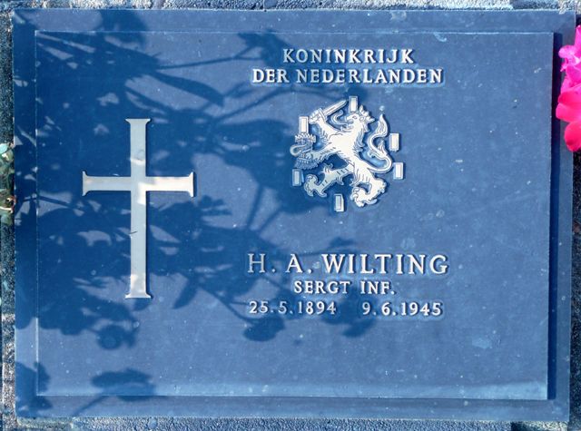 Wilting.H.A.2008.jpg