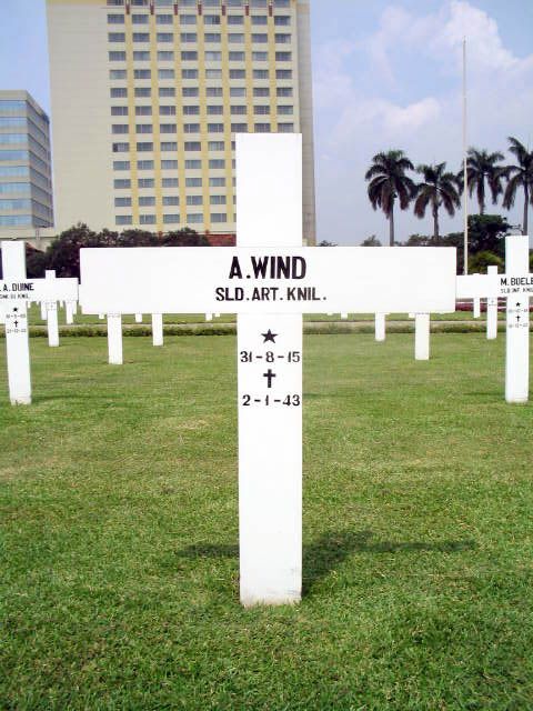 wind.a.2005.jpg