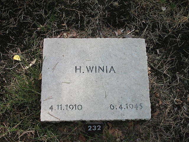 171918.JPG