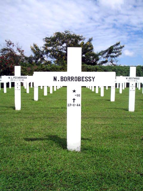 borrobessy.n.2005.jpg