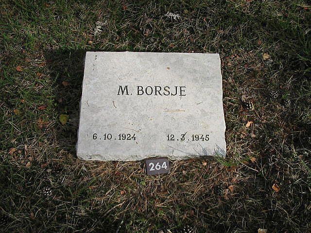 M.Borsje.jpg