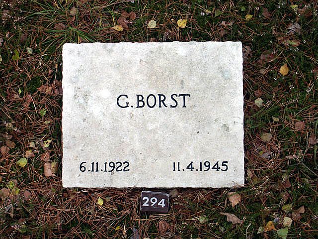 borst.g.2005.jpg