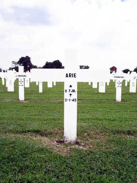 arie.2005(1).jpg