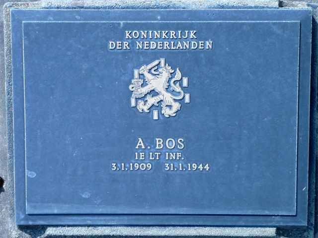 Bos.A.2008.jpg